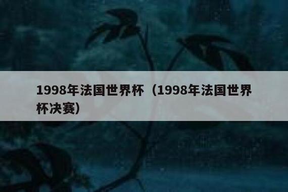 法国队世界杯夺冠观后感？1998年世界杯冠军法国的夺冠阵容!详细