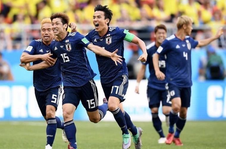 法国与日本世界杯，日本队参加过几次世界杯