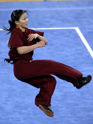 女子武术世界杯冠军(世界武术锦标赛历届冠军)