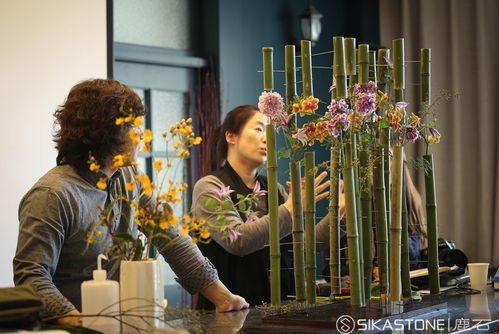 花艺作品世界杯主题(2004年世界杯插花花艺赛展)