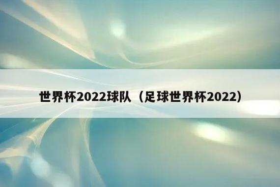 丰办世界杯 欧洲参加2022世界杯的国家