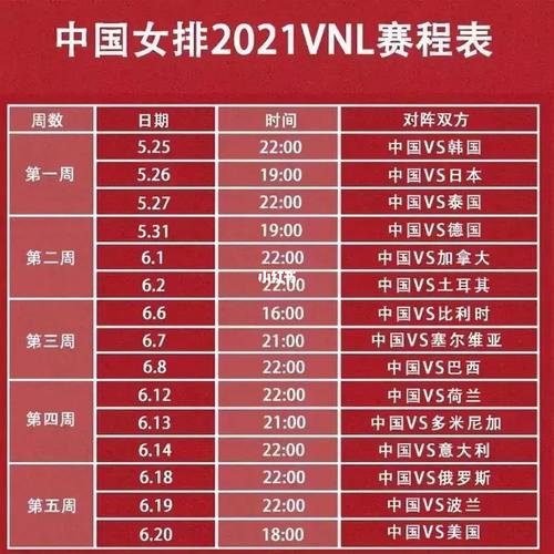 2019 世界杯女排赛，2019世界杯中国女排名单